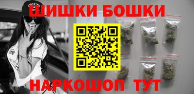 СК Бийск