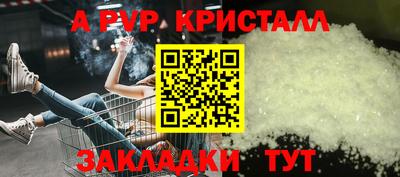 СК Бийск