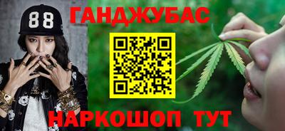 СК Бийск