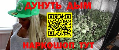 СК Бийск