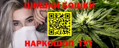СК Бийск
