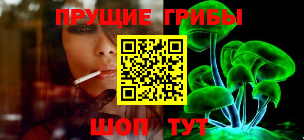 Галлюциногенные грибы GOLDEN TEACHER  Вход с VPN  Заводоуковск 