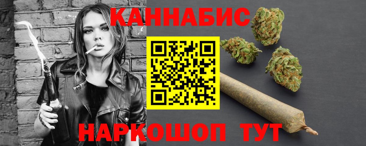 Бошки Шишки план Заводоуковск